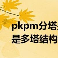 pkpm分塔是什么意思（请问 pkpm中什么是多塔结构）