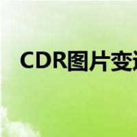 CDR图片变透明（cdr图片四周渐变透明）