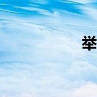 举贤网刘佳（举贤网）