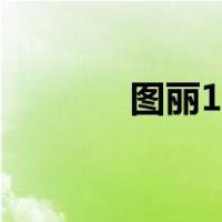 图丽11 16 2.8（图丽11 16）