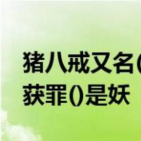 猪八戒又名()原是掌管天河的水兵()误投猪胎获罪()是妖