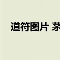 道符图片 茅山术（茅山道术定身符图解）
