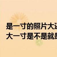 是一寸的照片大还是两寸的照片大（大一寸照片是什么意思 大一寸是不是就是两寸 还是比一寸大）