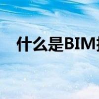 什么是BIM技术?（建筑bim技术是什么）