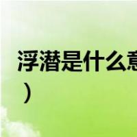 浮潜是什么意思形容一个人（浮潜是什么意思）