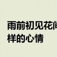 雨前初见花间蕊雨后全无叶底花表达了诗人怎样的心情