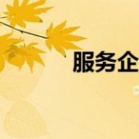 服务企业利润率（企业利润率）