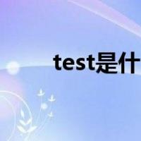 test是什么意思（text是什么意思）