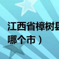 江西省樟树县属于什么市（江西省樟树市属于哪个市）
