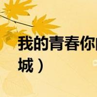 我的青春你的城 小说百度云（我的青春你的城）