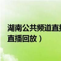 湖南公共频道直播回放如何激发孩子的潜能（湖南公共频道直播回放）