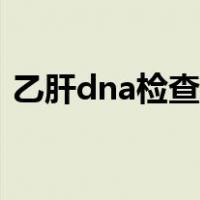 乙肝dna检查可以吃早餐吗（乙肝dna检查）