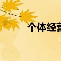 个体经营户营业执照（个体经营）
