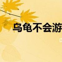 乌龟不会游泳怎么办（不会游泳怎么办）