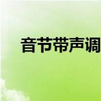 音节带声调还是不带声调（音节带声调）