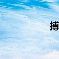 搏击术视频（搏击术）