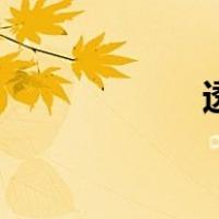 透支信用卡（透支）