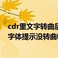 cdr里文字转曲后还能转过来吗（CDR转曲后打开怎么还有字体提示没转曲呢）