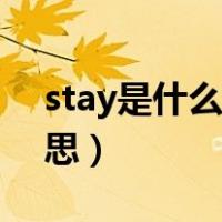 stay是什么意思翻译成中文（stay是什么意思）