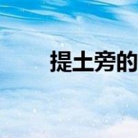 提土旁的字怎么组词（提土旁的字）