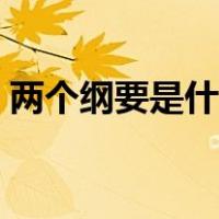 两个纲要是什么时候提出（两个纲要是什么）