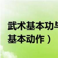 武术基本功与基本动作有哪些（武术基本功与基本动作）