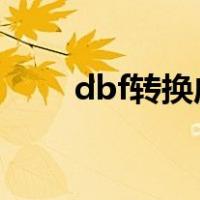 dbf转换成excel只能转换50条记录
