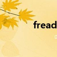 fread(fd,buffer,n)（fread）
