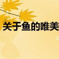 关于鱼的唯美句子俗语（关于鱼的唯美句子）