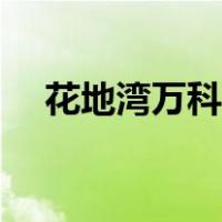 花地湾万科金域曦府值得买吗（花地湾）