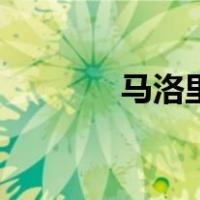 马洛里之塔第一季（马洛里）