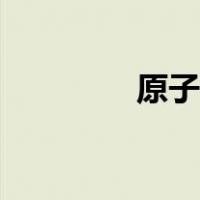 原子核带什么电（原子核）