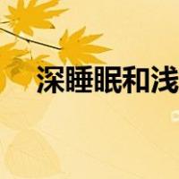 深睡眠和浅睡眠多长时间合适（深睡眠）