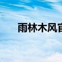 雨林木风官网是多少（风木雨林官网）