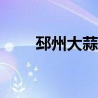邳州大蒜价格最新（邳州大蒜价格）