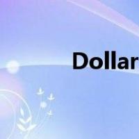 Dollar General和 dollar tree