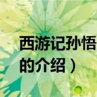 西游记孙悟空的介绍100字（西游记 孙悟空的介绍）