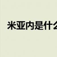 米亚内是什么意思（亚米亚米是什么意思）