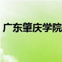 广东肇庆学院官网登录（广东肇庆学院官网）
