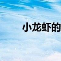 小龙虾的做法视频（小龙虾的做法）