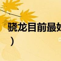 骁龙目前最好的处理器是什么（处理器是什么）