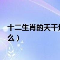 十二生肖的天干地支是什么（十二生肖对应的天干地支是什么）
