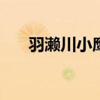 羽濑川小鹰四人共同点（羽濑川小鹰）