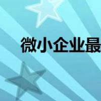 微小企业最常见的法律形态（微小企业）