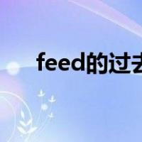 feed的过去式是什么（feed的过去式）