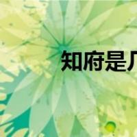 知府是几品官职（知府是几品官）
