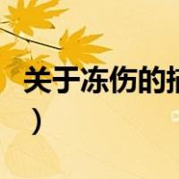 关于冻伤的描述以下哪种说法正确（说法正确）