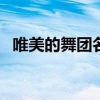 唯美的舞团名字大全（舞团名字大全唯美）