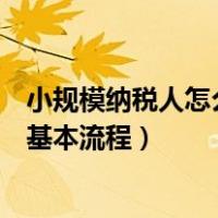 小规模纳税人怎么做账及报税的流程（小规模纳税人报税的基本流程）