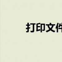 打印文件PRN用什么软件打开它？